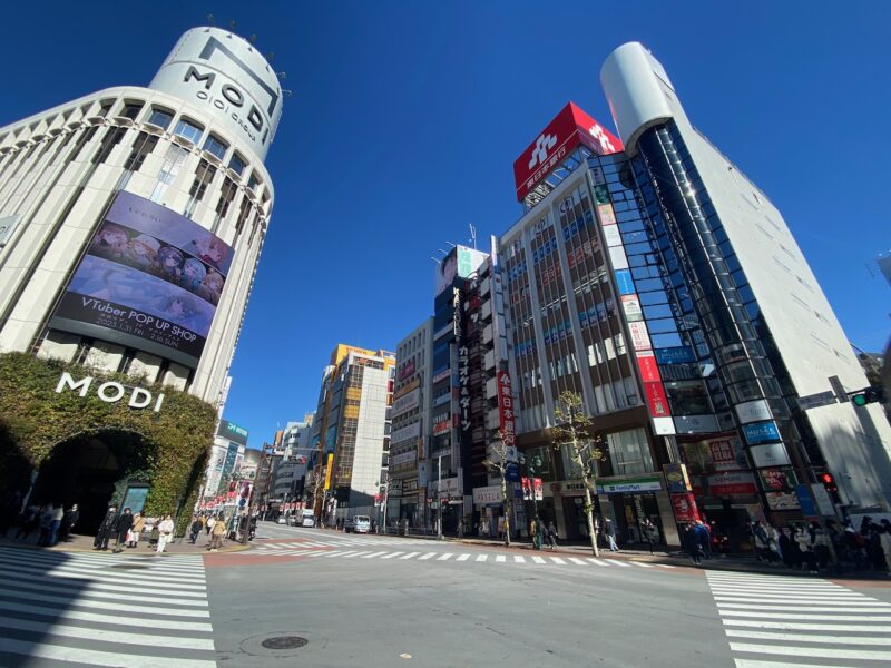 Tokyo, Japan. Image © PlanetSKI